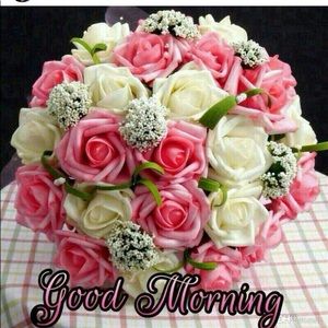 Meet your Posher, Harwinder